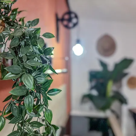 Le Terracotta - Centre Appartement Grenoble